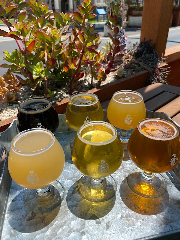 Mad Pursuit Brewing Company
