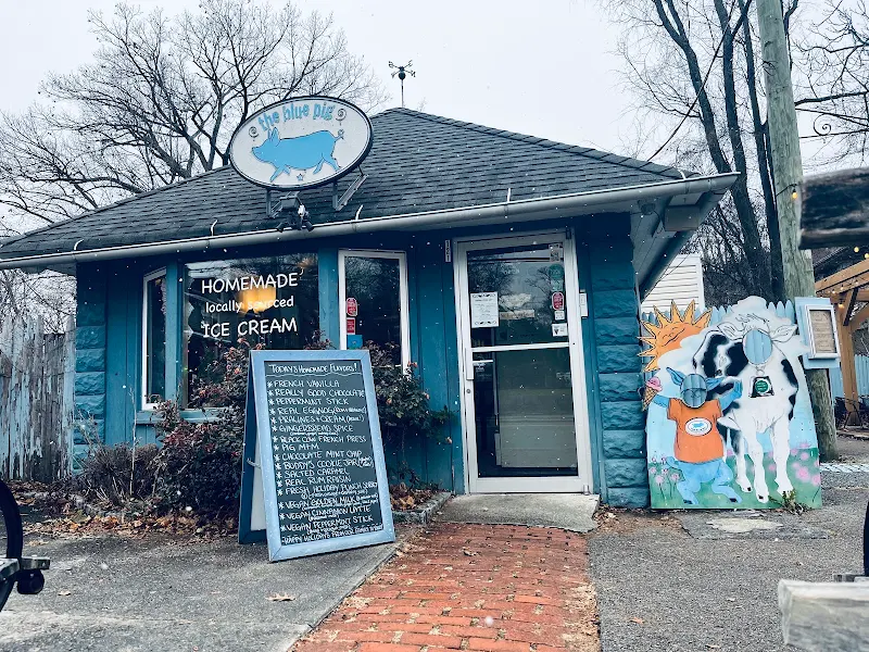 The Blue Pig