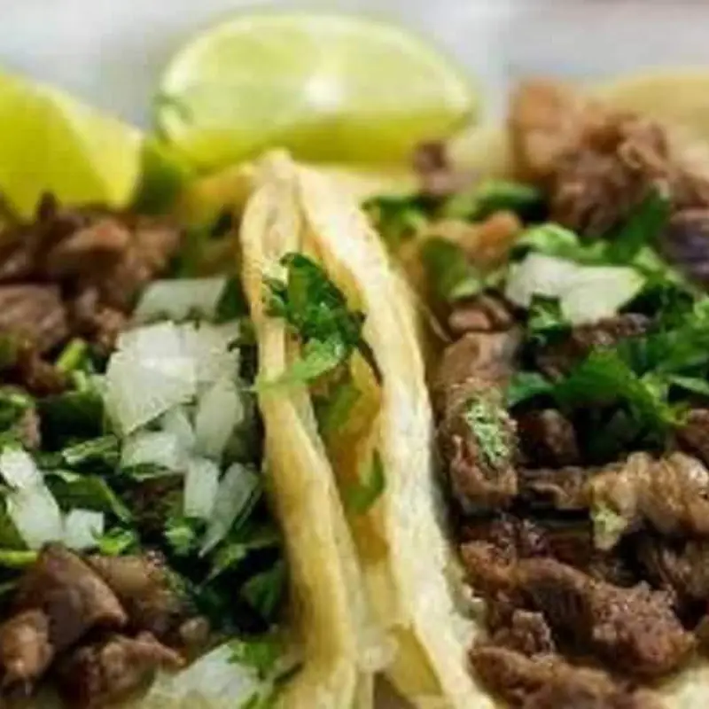 Taquero Mucho