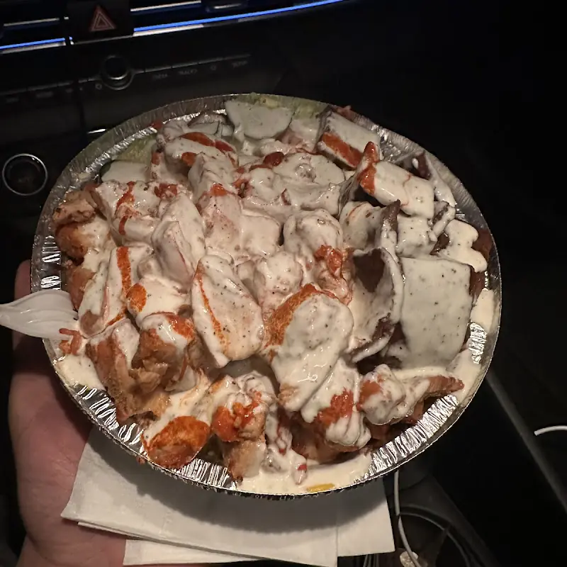 Falafel Sandwich