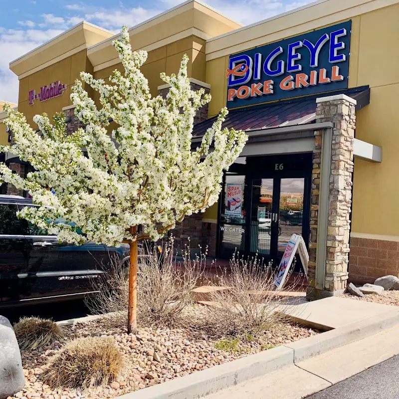 Bigeye Poke Grill Draper