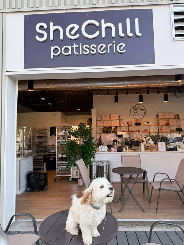 SheChill Patisserie
