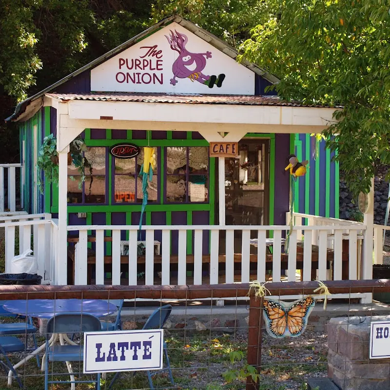 The Purple Onion