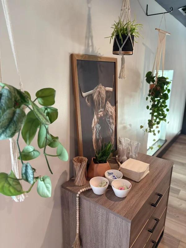Walnut Street Coffee and Deli