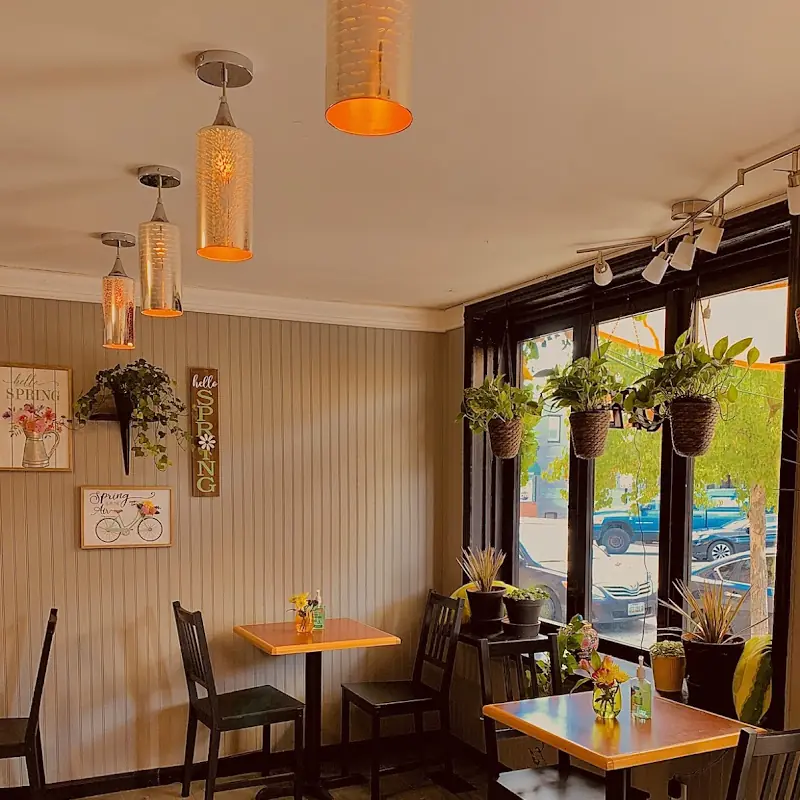 Spring Cafe "A Taste of Authentic Afghan Cuisine"