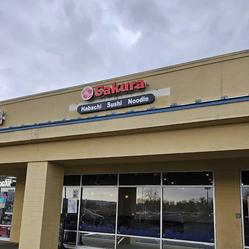 Sakura 22
