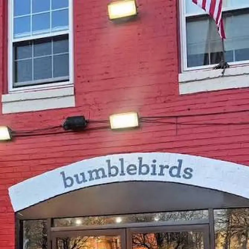 bumblebirds