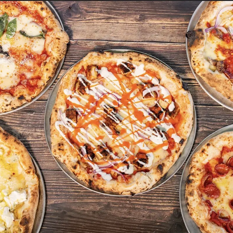 Meatball parm - One Size