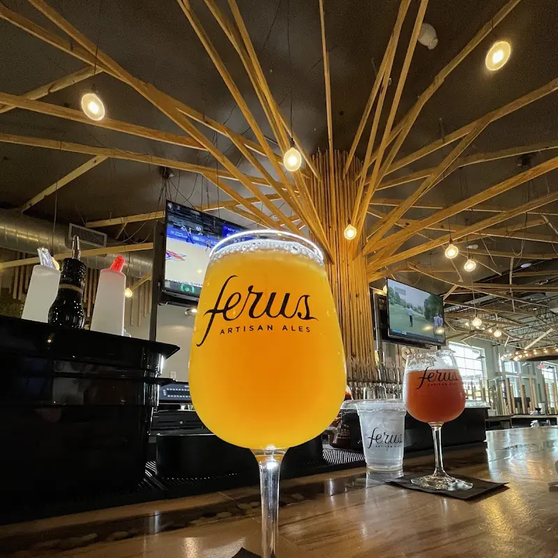 Ferus Artisan Ales