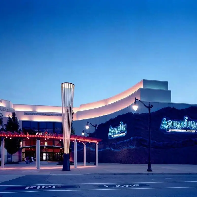 Aquarium Restaurant