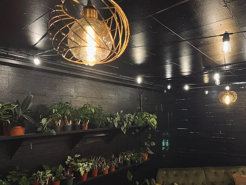 Ivy Terra Plant Cafe