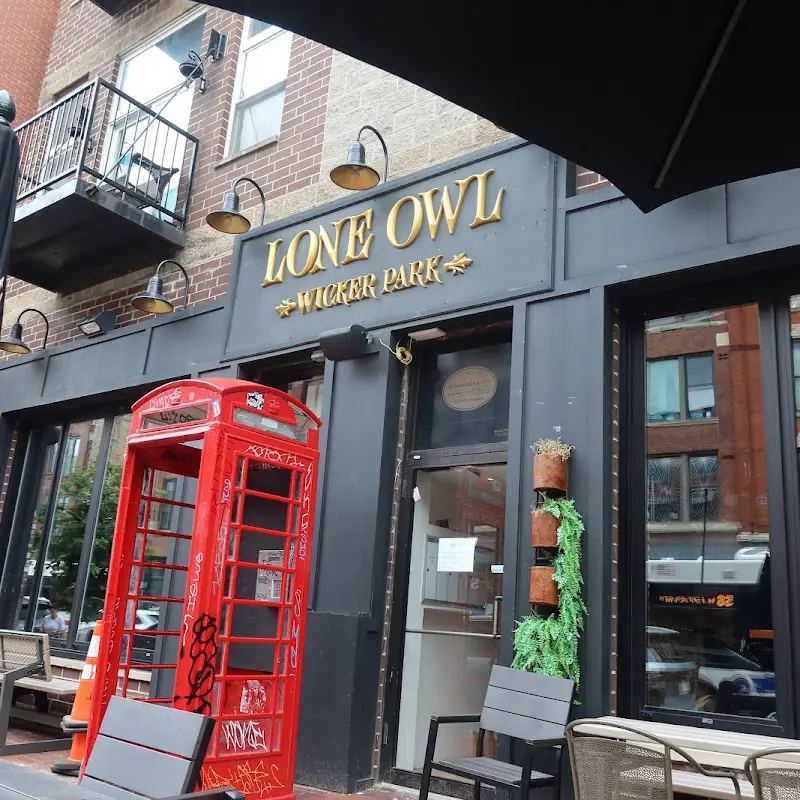 Lone Owl