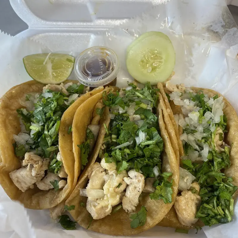 Chicken Quesadilla