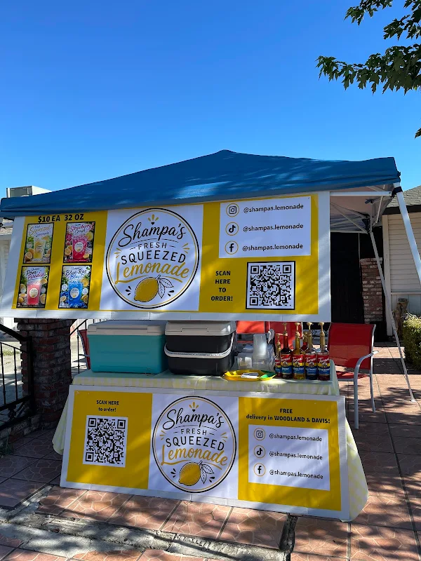 Shampa's Fresh Squeezed Lemonade