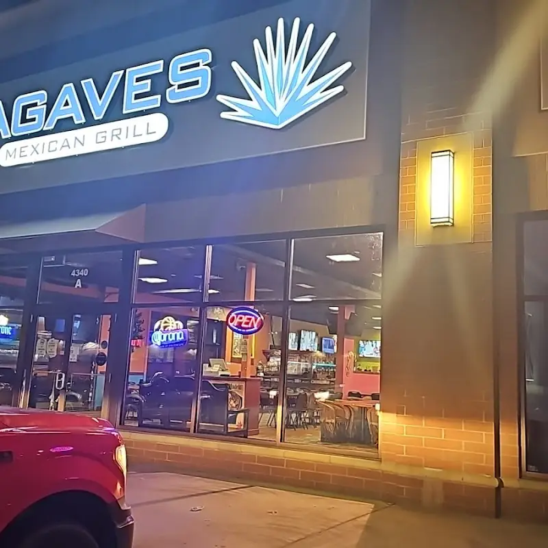Don Mexcal 2 (Agaves)