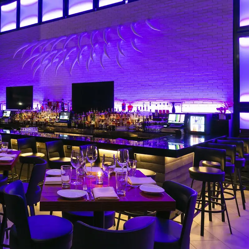 STK Steakhouse