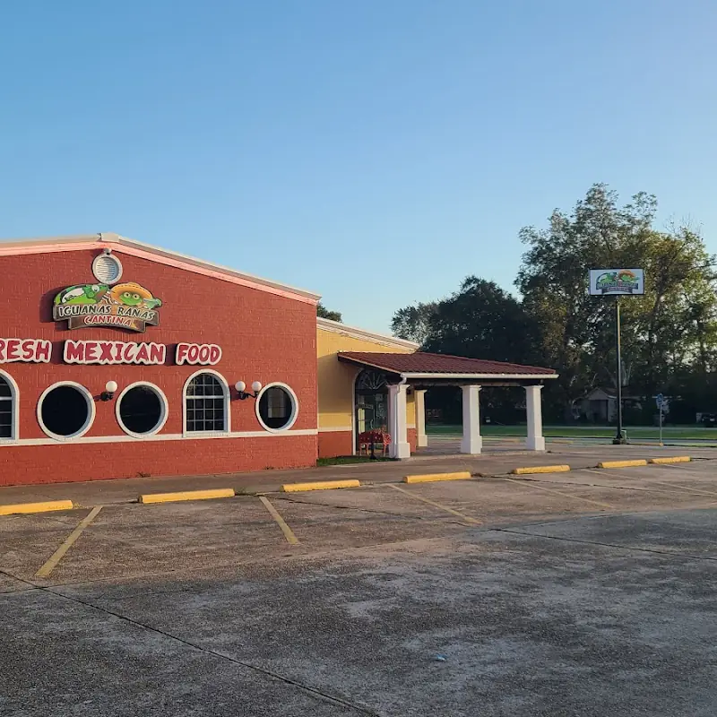 Iguanas Ranas Pearland