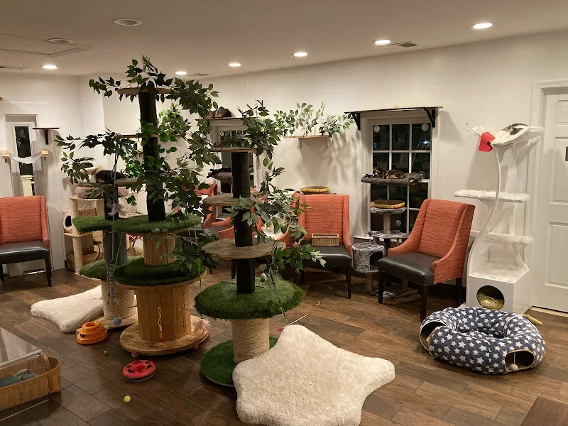 Catty Corner Cafe