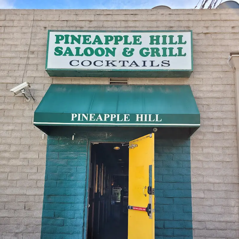 Dill Pickles Spears (2)