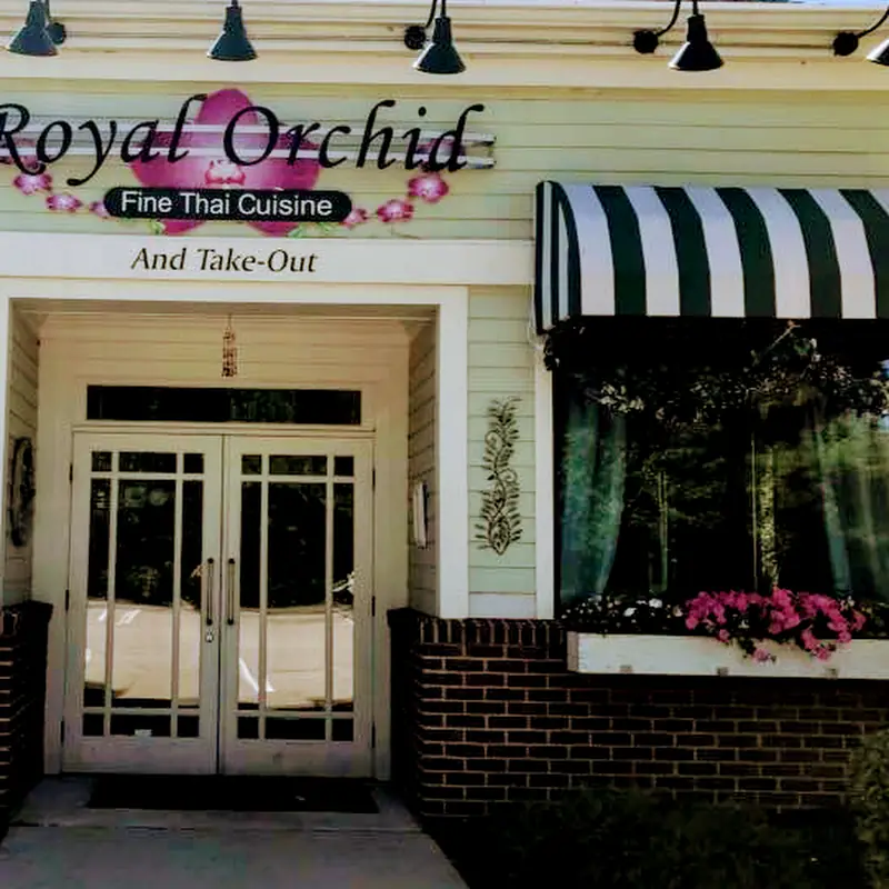 Royal Orchid