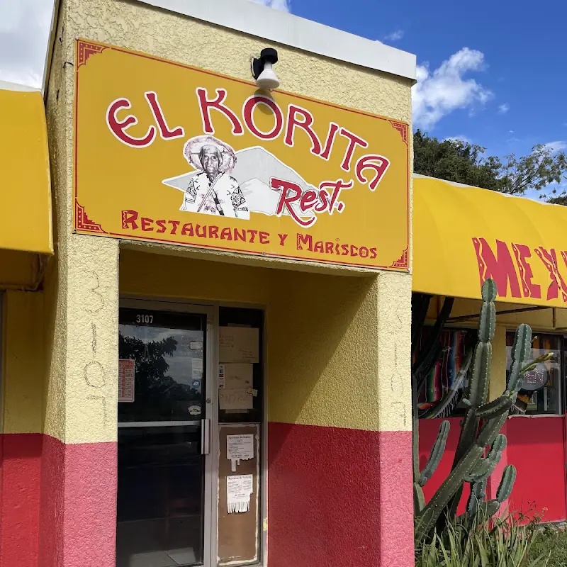 Burrito de Pollo o Res / Chicken or Beef Burrito