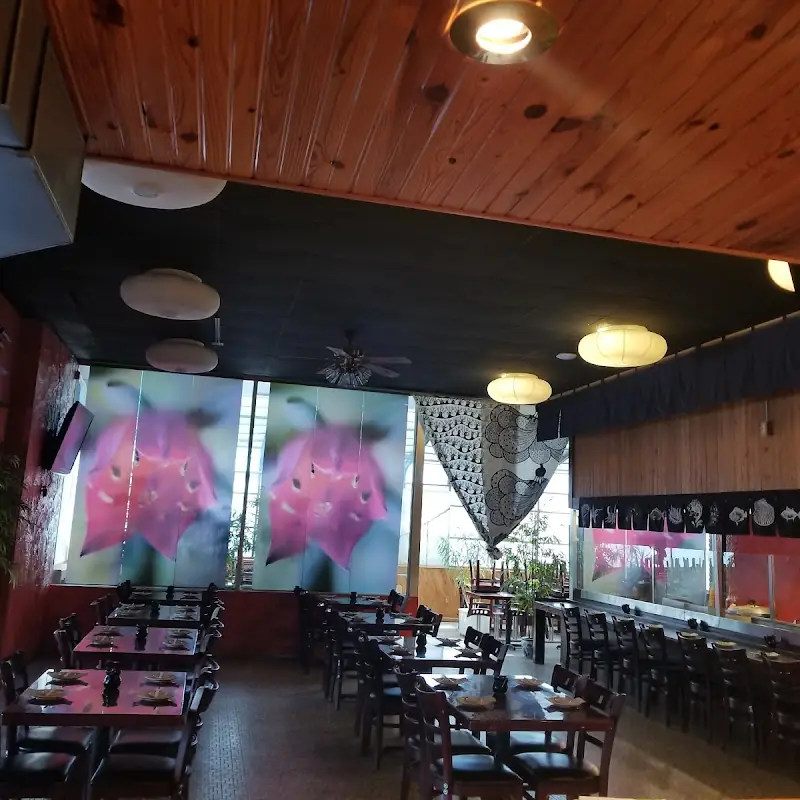 Glassico Sushi