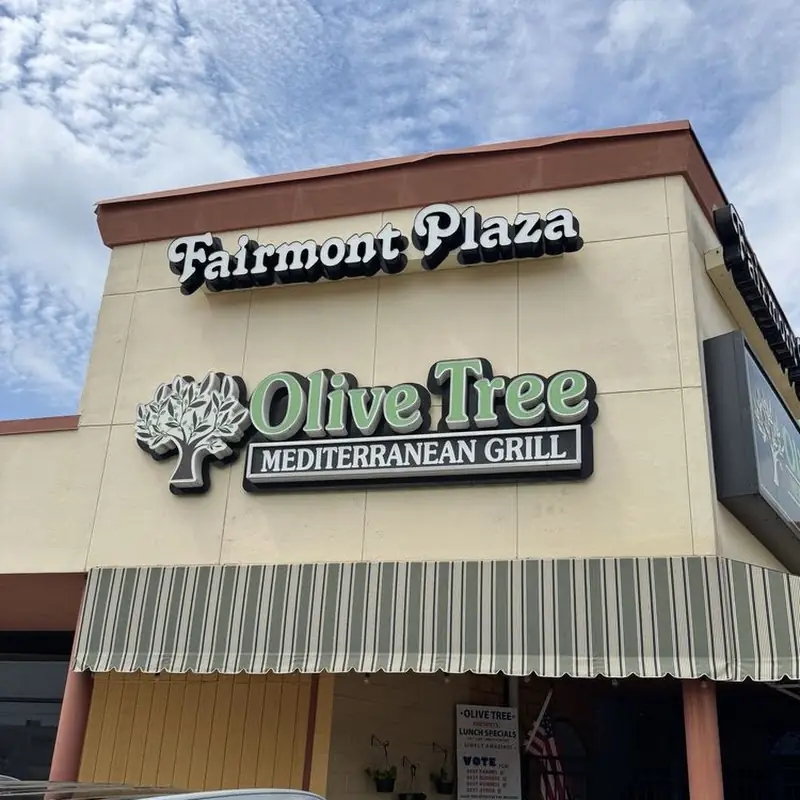 Olive Tree