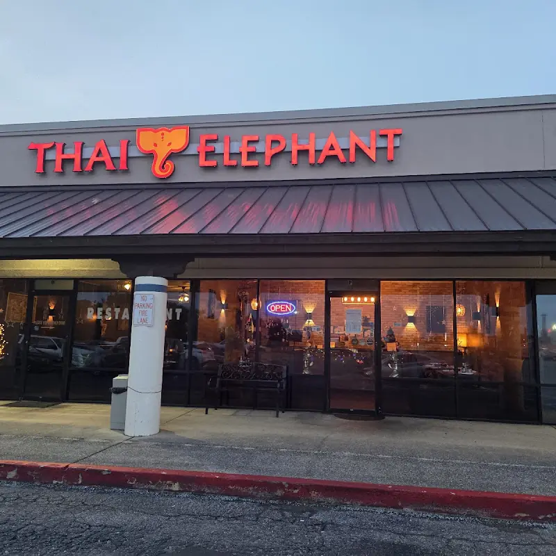 Thai Elephant