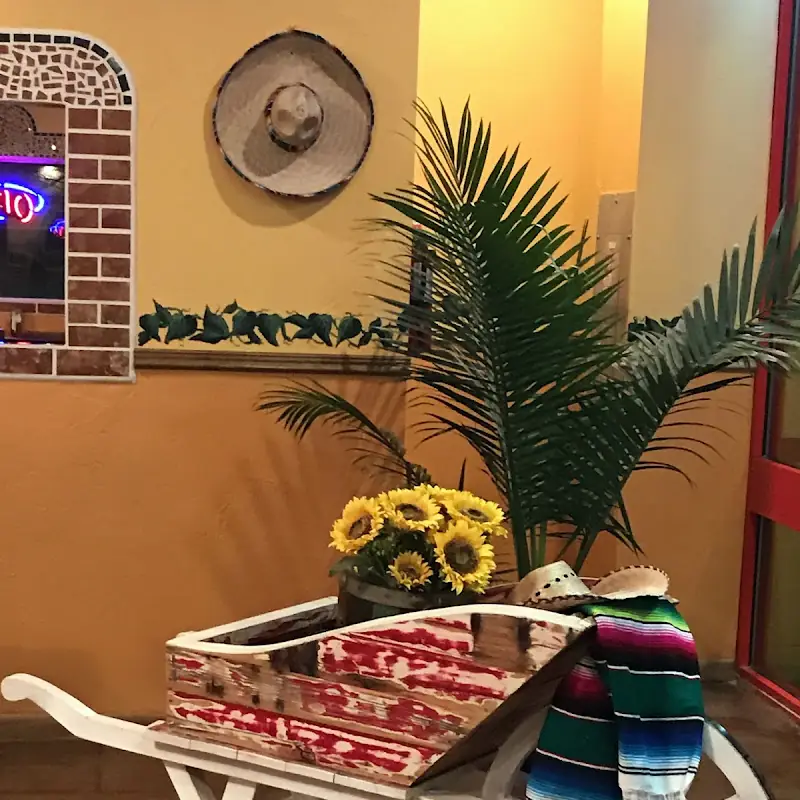 Los Girasoles | Mexican