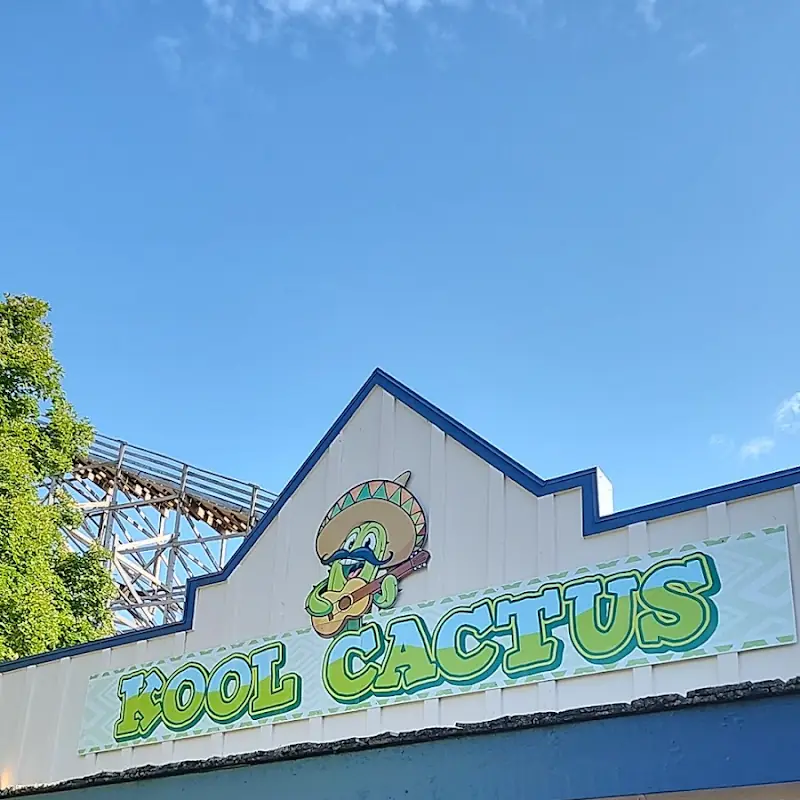 Kool Cactus