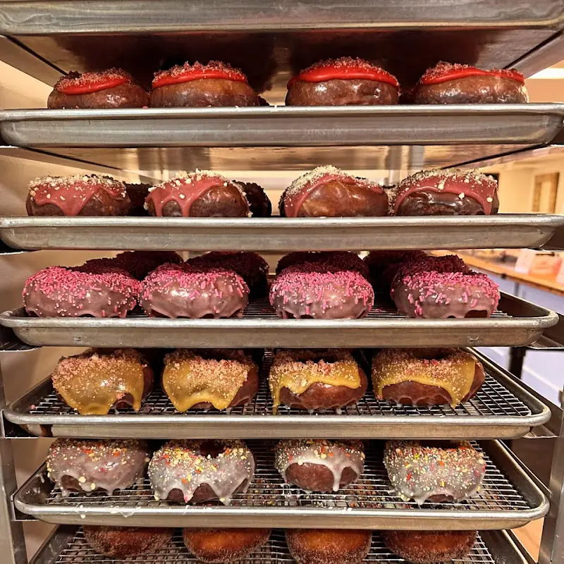Curiosity Doughnuts