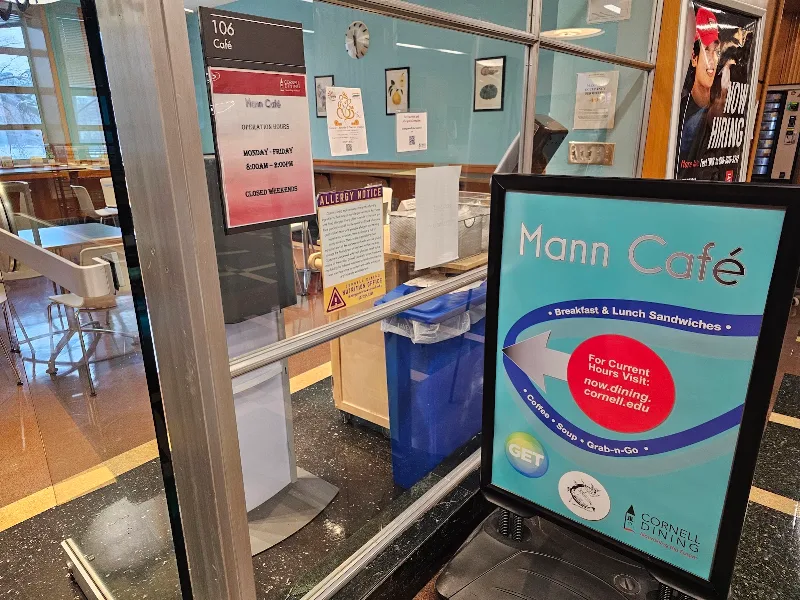 Mann Café
