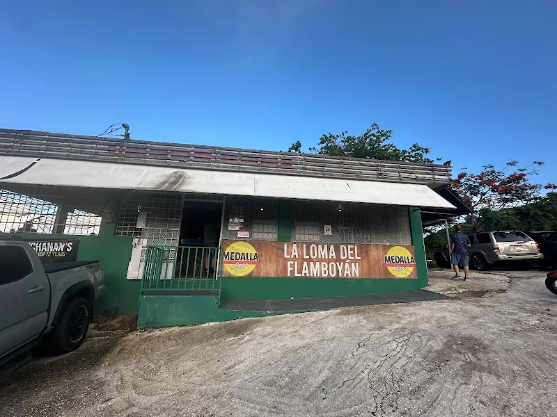 La Loma del Flamboyán