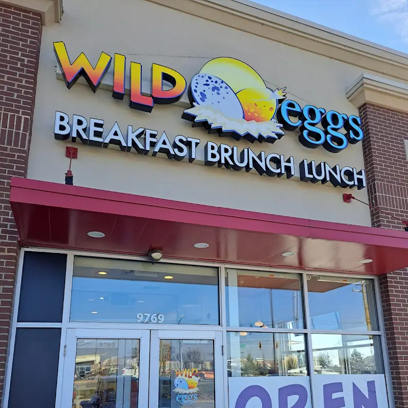 Wild Eggs