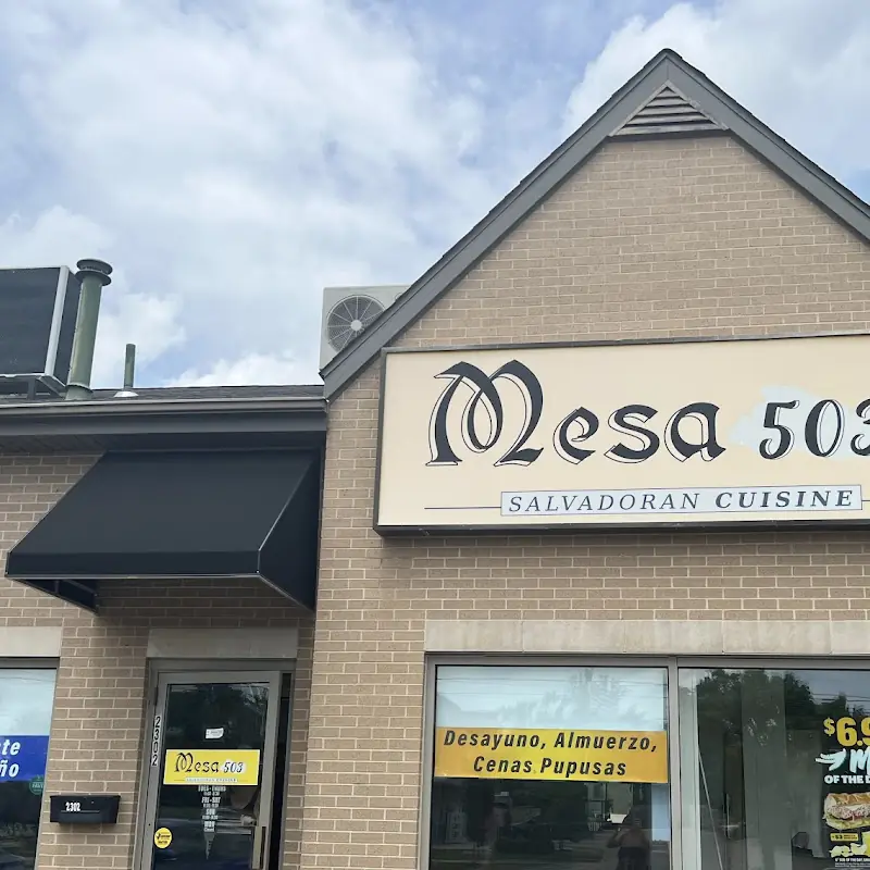 Mesa 503