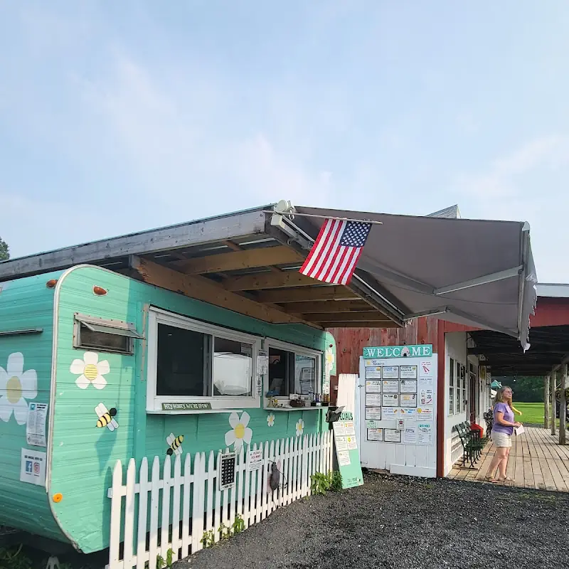 The Hive Café