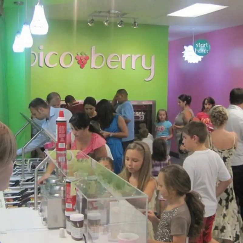 Picoberry Froyo & Boba Shop