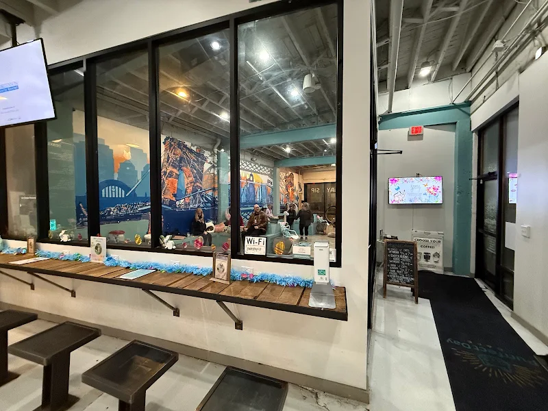 Purrfect Day Cat Café