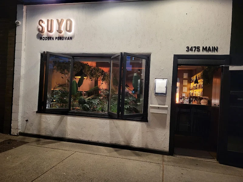 SUYO Modern Peruvian
