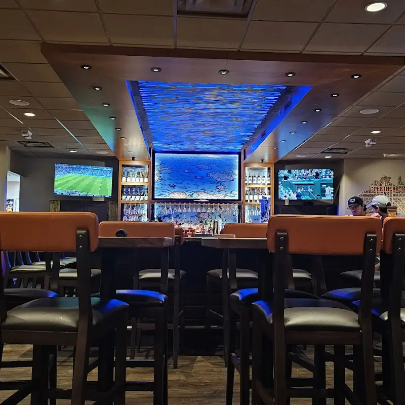 Outback Steakhouse