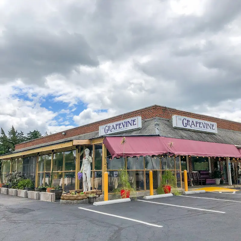 The Grapevine Greek & Italian Restaurant