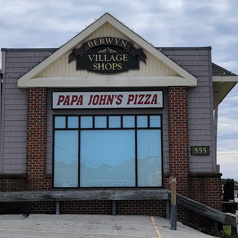 Papa Johns Pizza