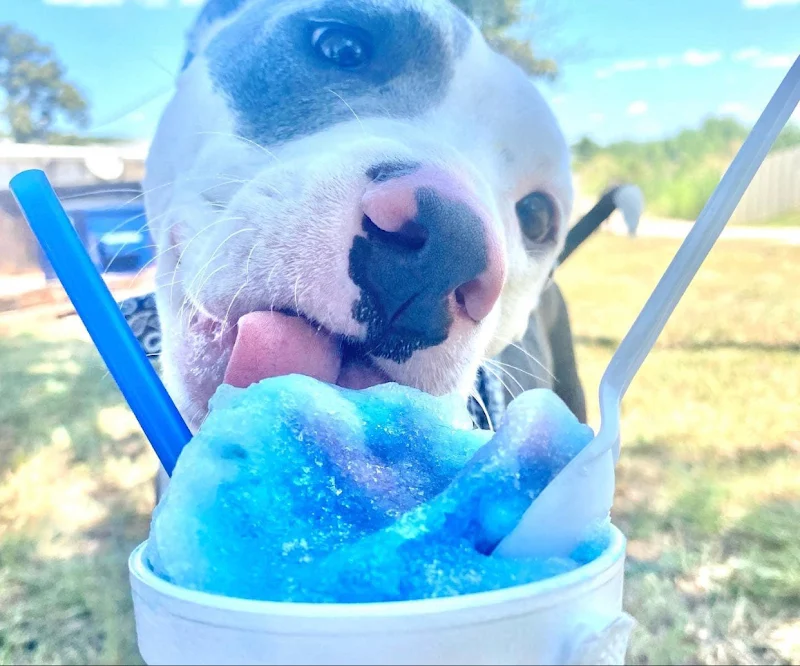Snow Belles Shaved Ice
