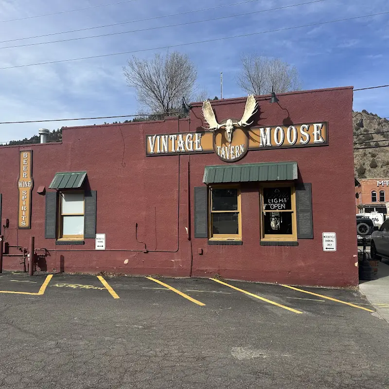 The Vintage Moose
