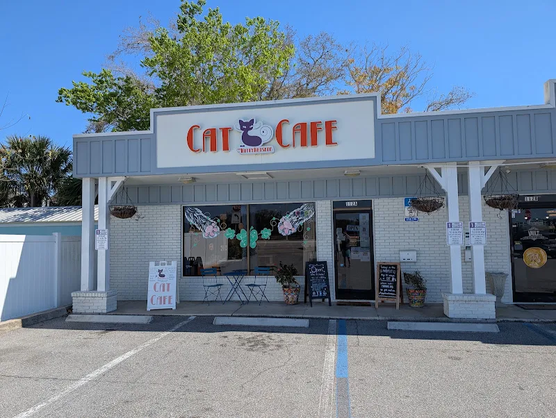 The Witty Whisker Cat Cafe