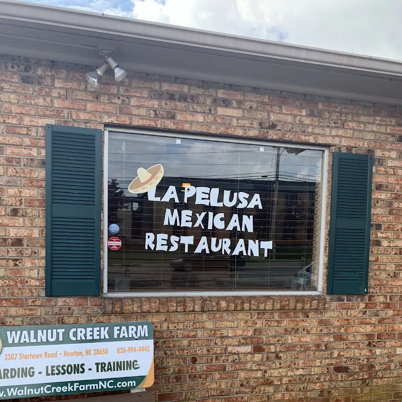 La Pelusa Mexican Restaurant