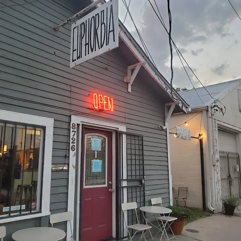 Euphorbia Kava and Coffee Bar