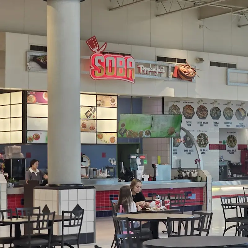 Chicken Shawarma