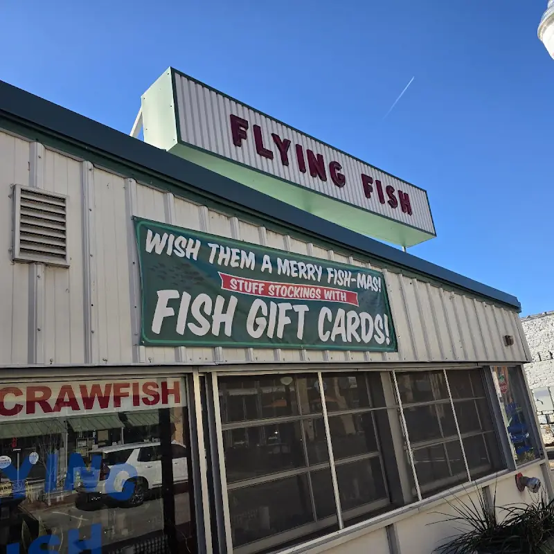 Flying Fish