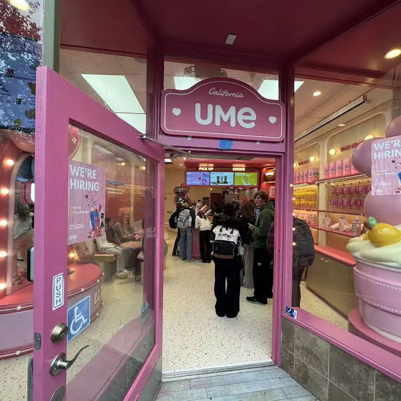 UMe | Tea & Snacks